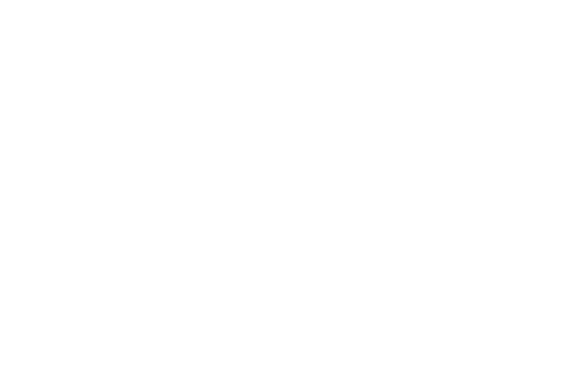 DSD Logo
